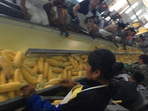 Double layer sorting conveyor