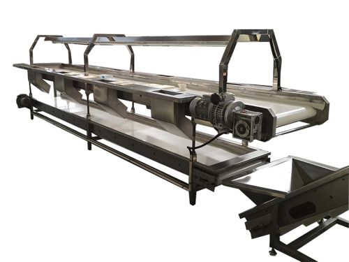 TXJ Sorting Conveyor