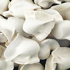 Frozen Dumpling